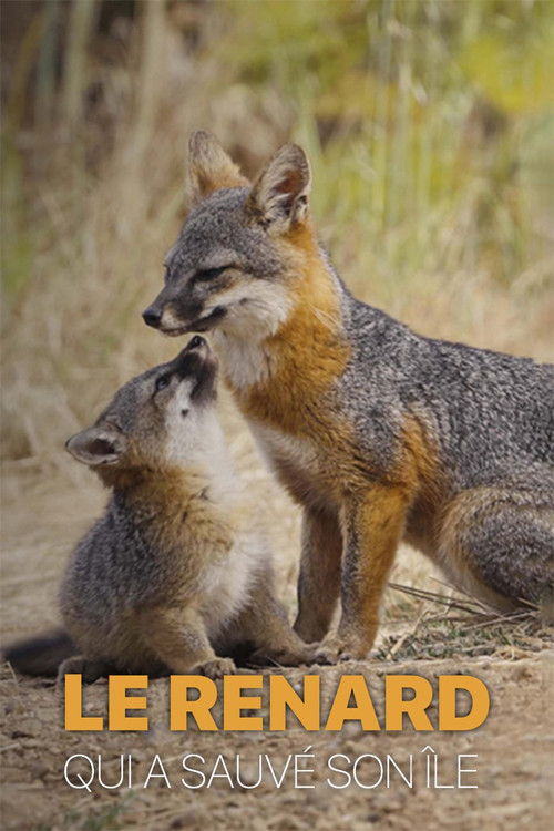 Le renard qui a sauvé son île poster