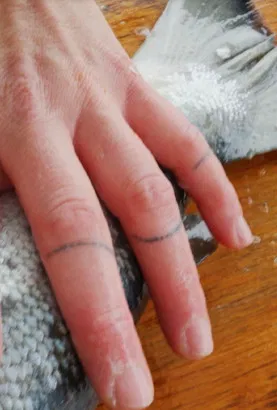 This Is a Story about Salmon poster