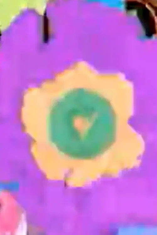 Compilation Reel poster