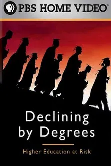 Declining by Degrees: Higher Education at Risk poster