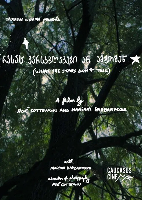 What the Stars Don’t Tell poster