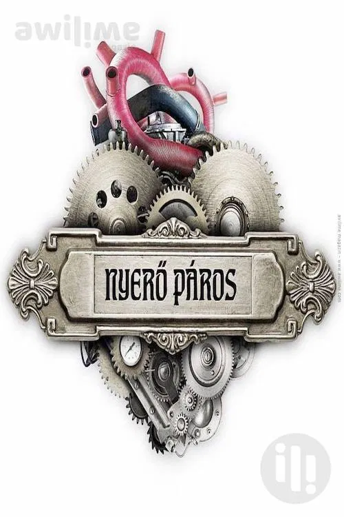 Nyerő Páros poster