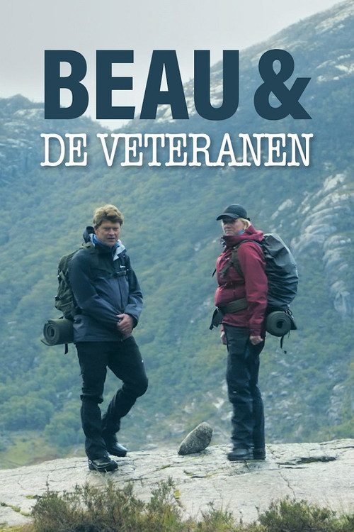 Beau and the Veterans poster