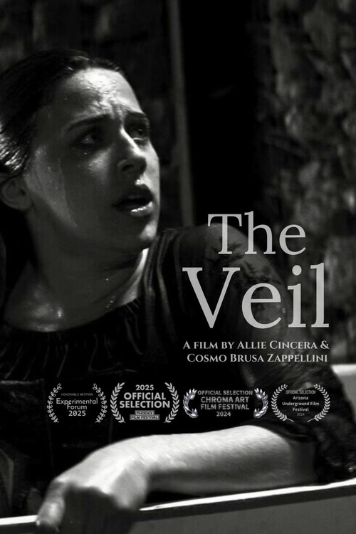 The Veil poster