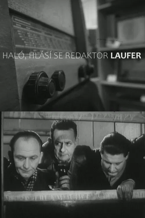 Haló, hlásí se redaktor Laufer! poster