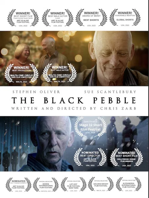 The Black Pebble poster