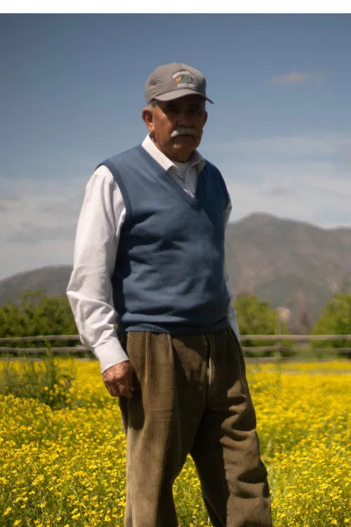 Reinaldo Rojas profile