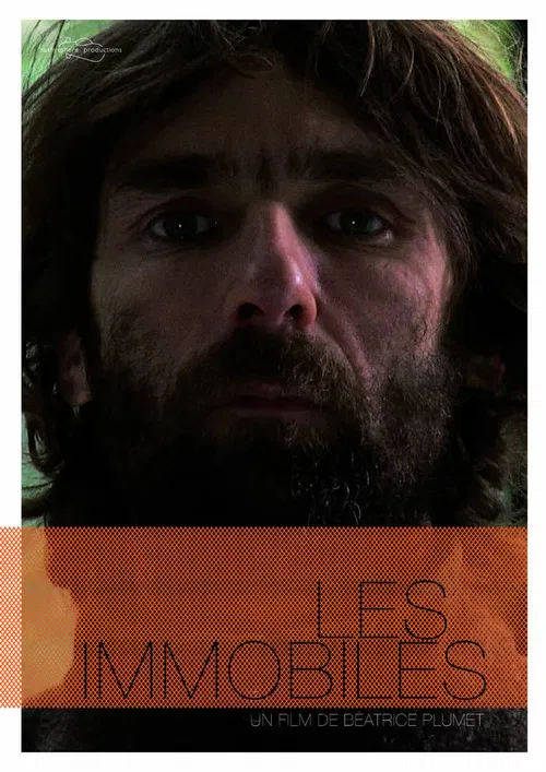 Les immobiles poster