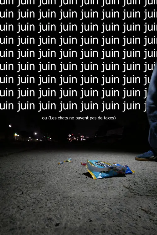 Juin ou  (Les chats ne payent pas de taxes) poster