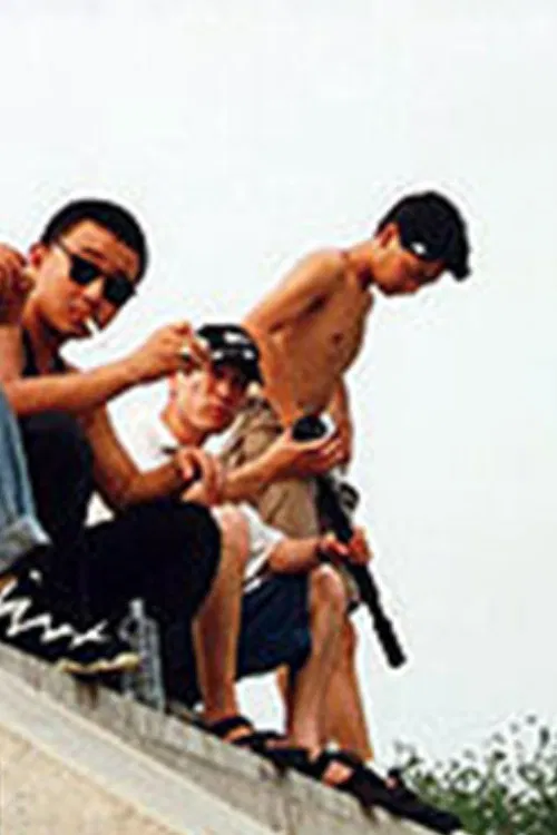 Who Has Ever Seen the Festival of Wild Animals? poster