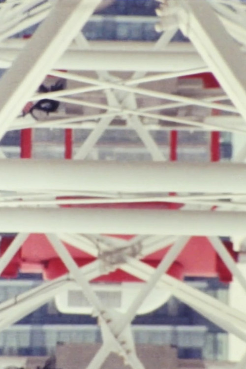 Amusement Ride poster