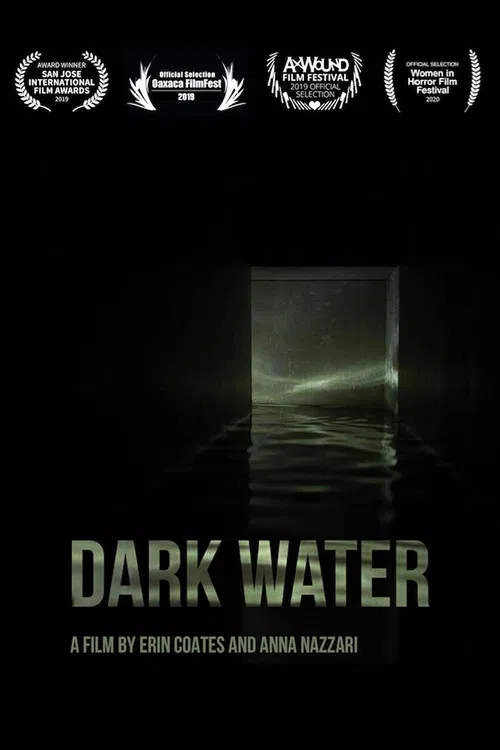 Dark Water poster