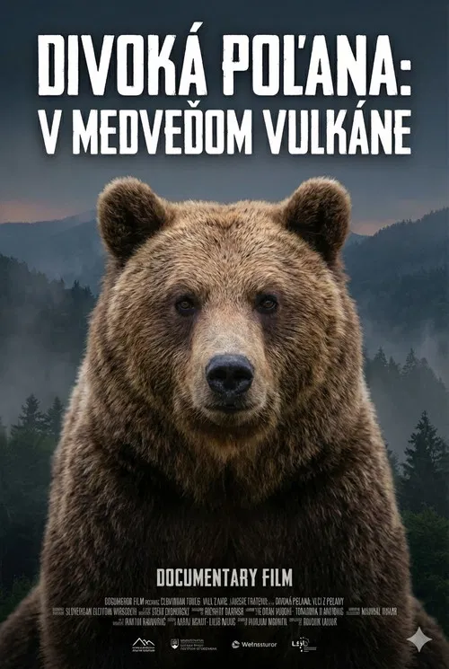 Divoká Poľana: V medveďom vulkáne poster