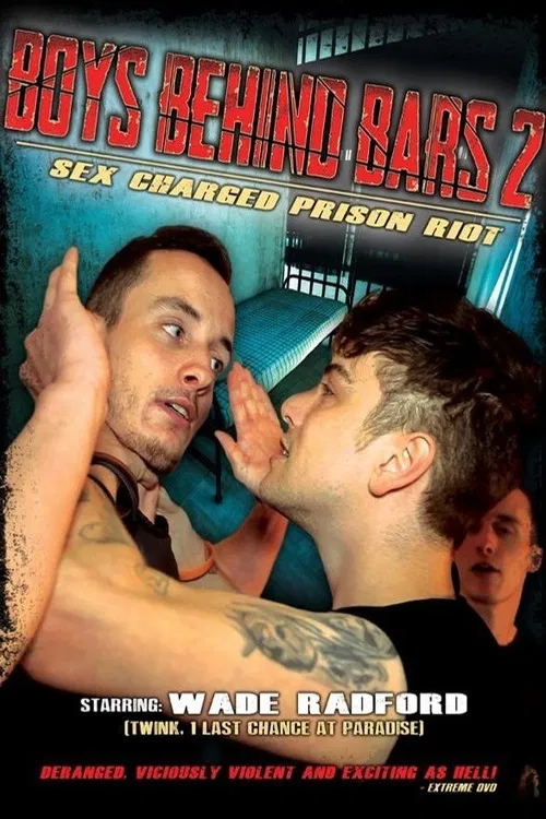 Boys Behind Bars 2 poster