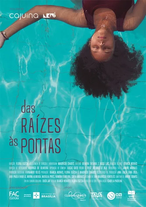 Das Raízes Às Pontas poster