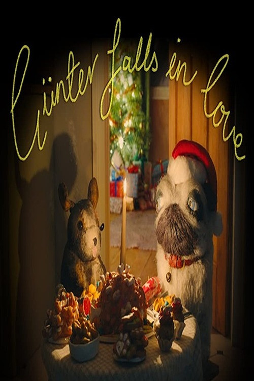 Günter Falls in Love poster