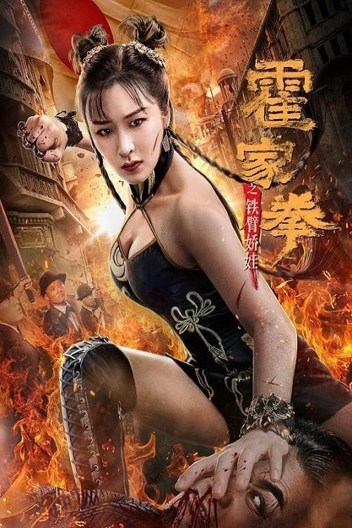 The Queen of Kung Fu poster