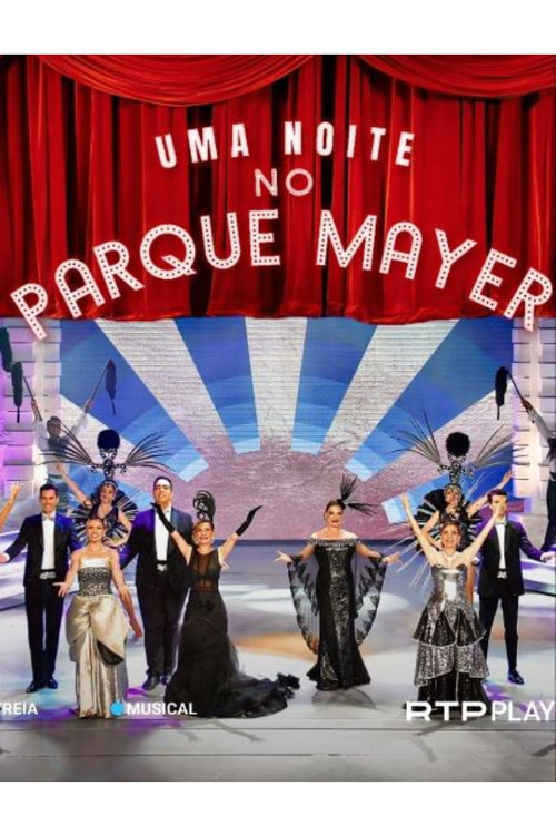 Uma Noite no Parque Mayer poster