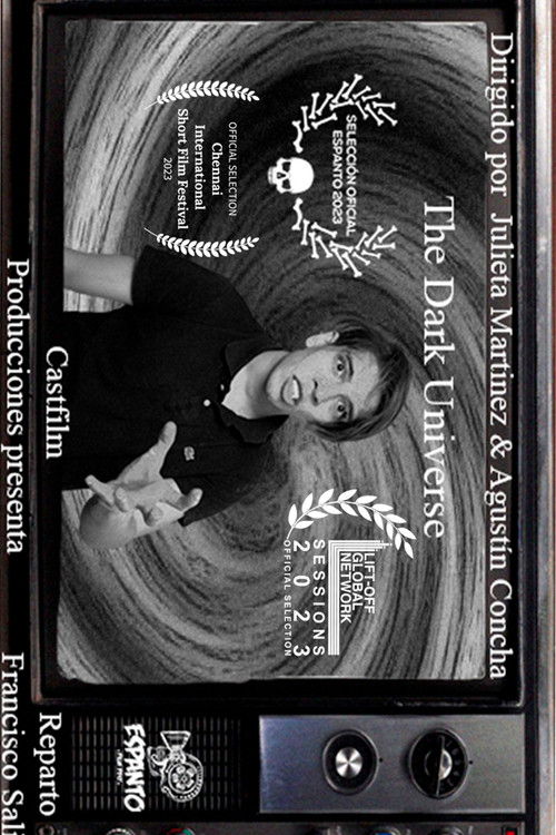 The Dark Universe poster