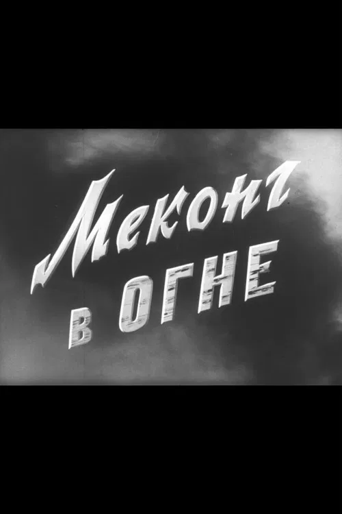 Mekong in Flames poster