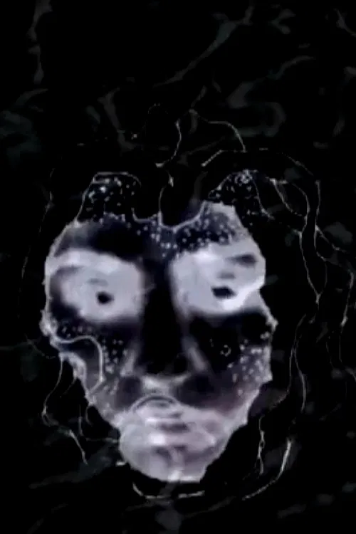 The Linear of Nightmare poster