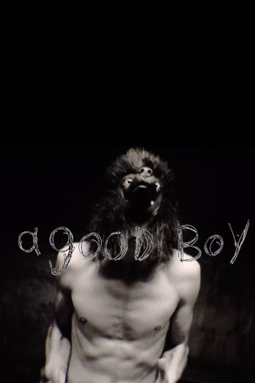 a good boy poster