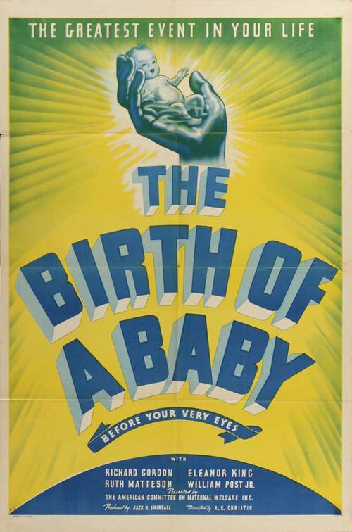 The Birth of a Baby poster