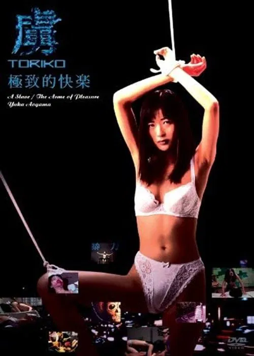 Captive TORIKO Ultimate Pleasure poster