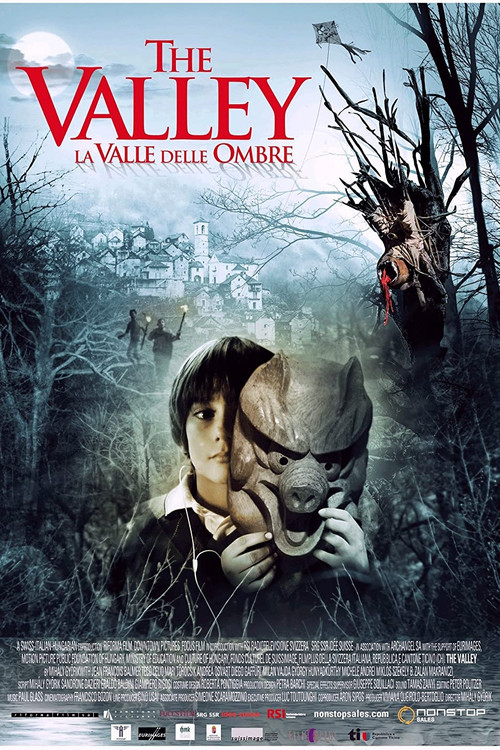 La Vallée delle ombre poster