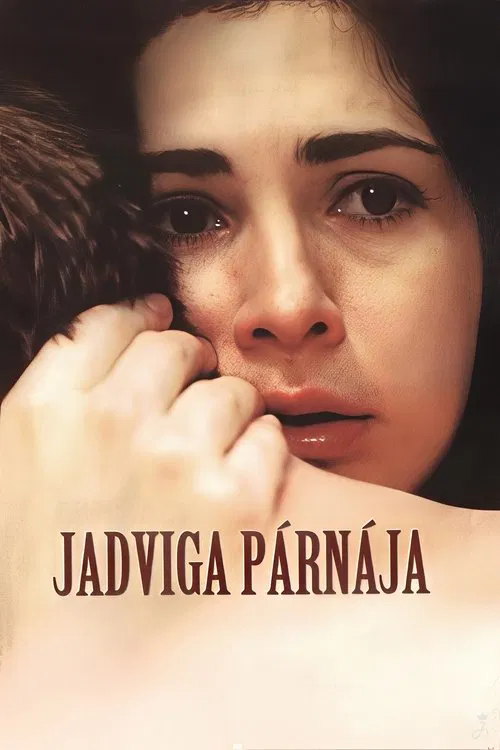 Jadviga's Pillow poster