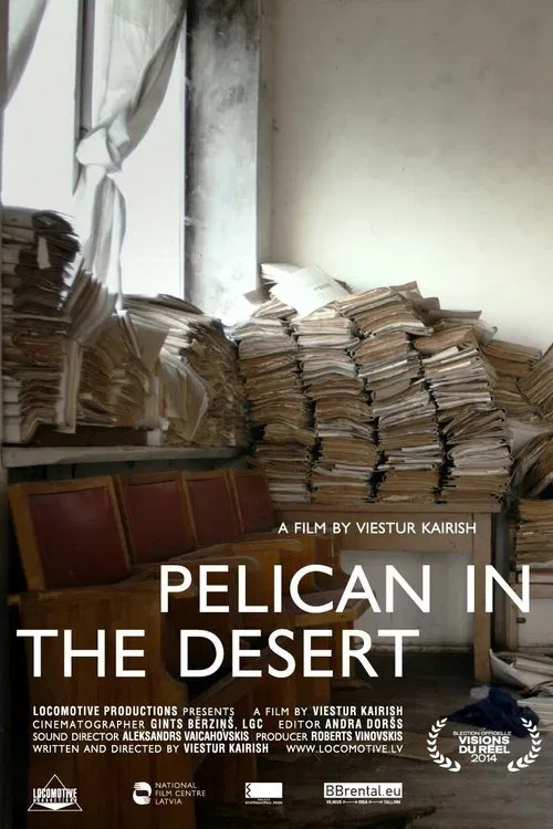 Pelican in the Desert poster