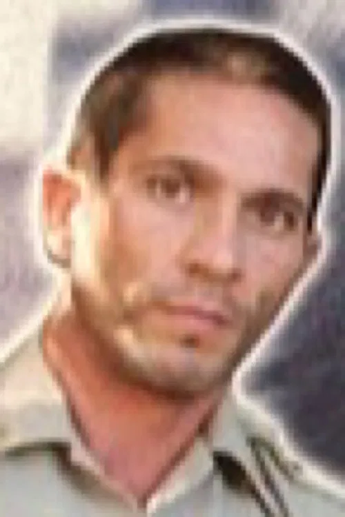 Vince Siciliano profile