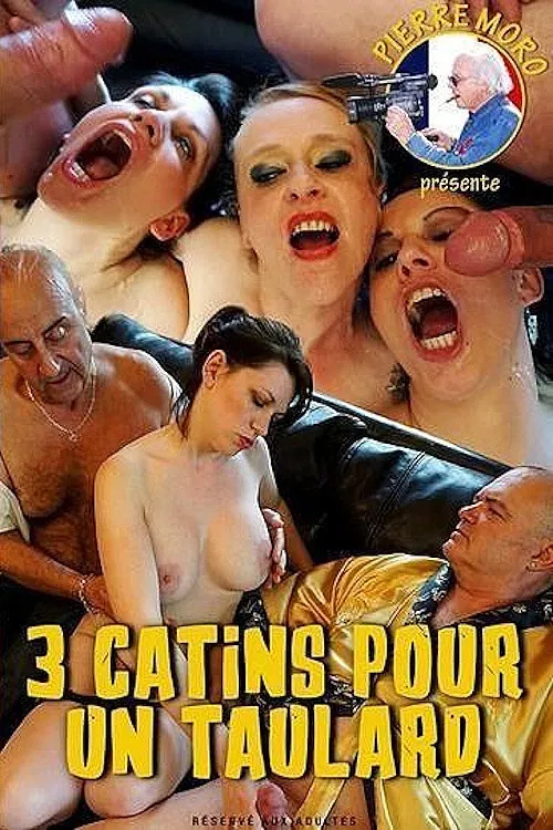 3 Catins pour un Taulard poster