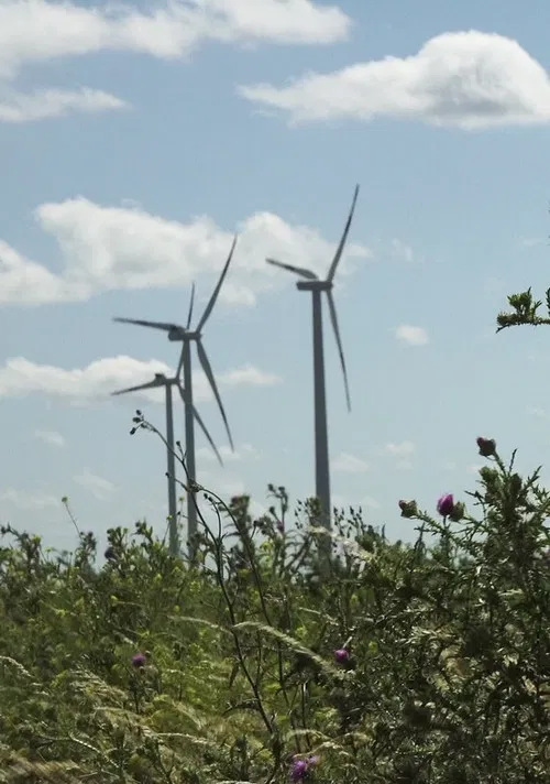 Windpark: Ein Lichtspiel bei Nacht poster