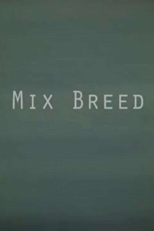 Mix Breed poster