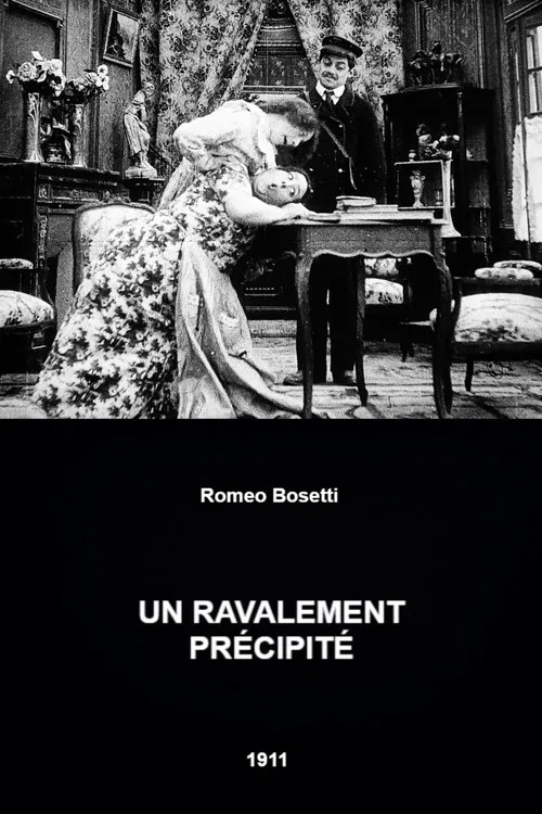 A Hasty Renovation poster