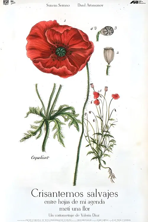 Wild Chrysanthemums Between the Pages of My Journal I Put a Flower poster