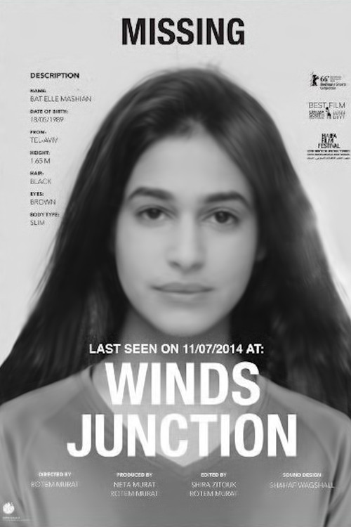 Winds Junction poster
