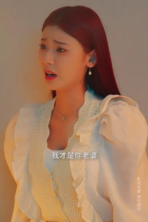 掌门老婆不简单 poster