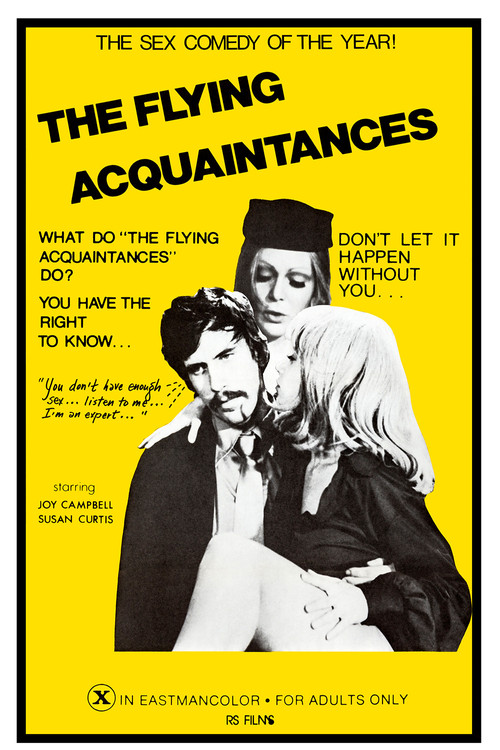 Flying Acquaintances poster