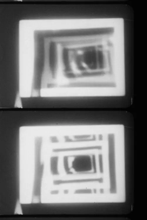 Film Feedback poster