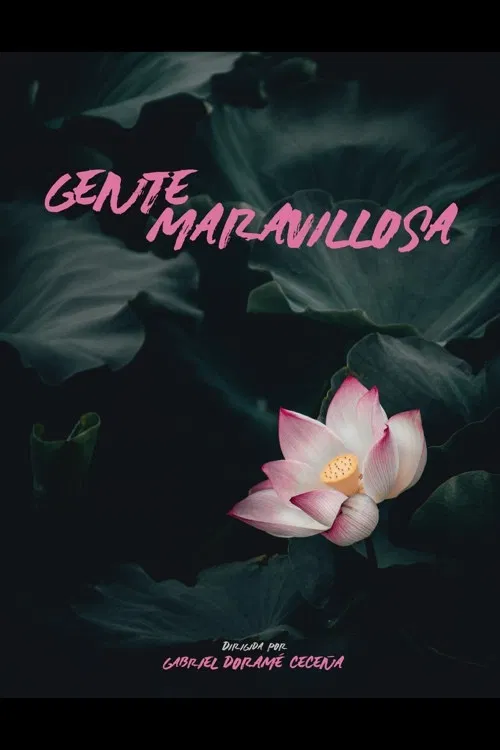 Wonderful People poster