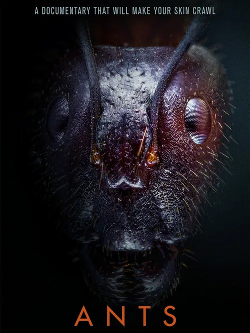 Ants poster