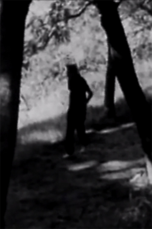 Homenaje a Juan L. Ortiz poster