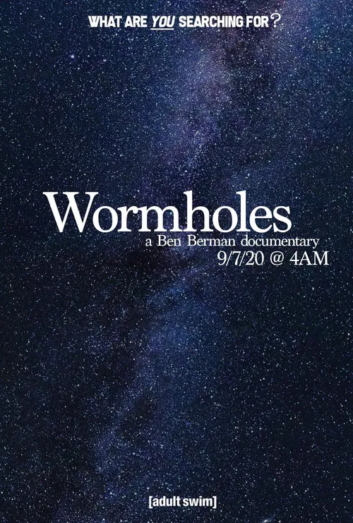Wormholes poster