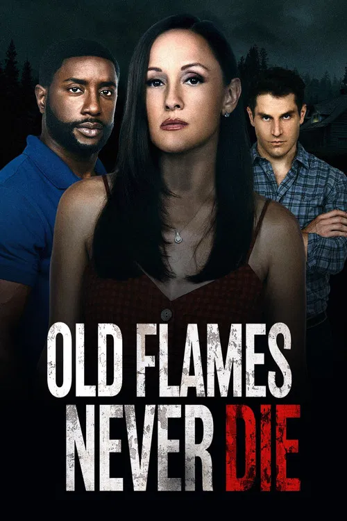 Old Flames Never Die poster