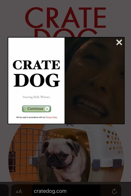 Crate Dog poster