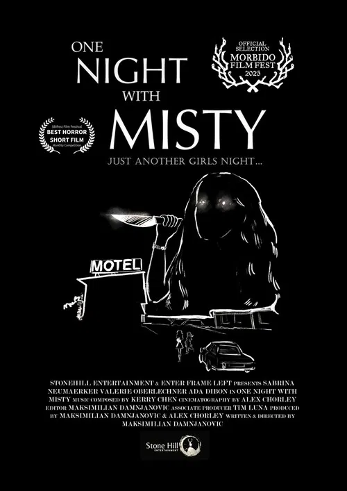 One Night with Misty poster