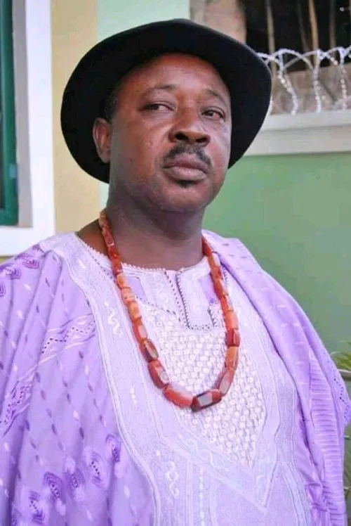 Amaechi Muonagor profile