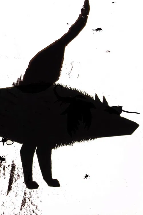 From Under Which Rock Did They Crawl Out poster